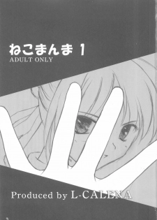 (CR35) [L-CALENA (Kisaragi)] [L-CALENA] Nekomanma 1 (Fate/stay night) - page 3