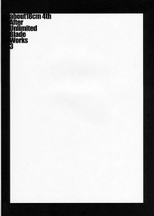 (Mimiket 15) [Nilitsu Haihan (Nilitsu)] about 18cm 4th (Fate/stay night) - page 3