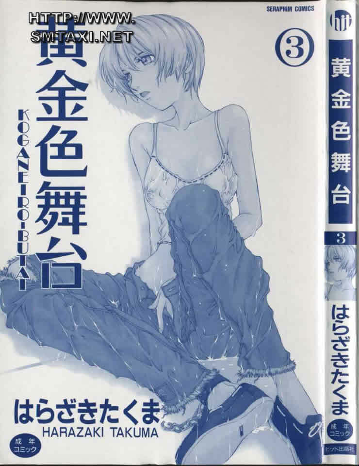 [Harazaki Takuma] Koganeiro Butai 3 [Chinese] page 3 full