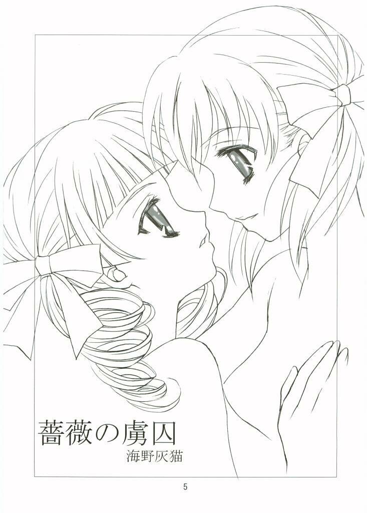(CR36) [Haine Club (Umino Haine)] ROSE SWEETS 5 (Maria-sama ga Miteru) [Incomplete] page 3 full