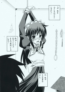 (C73) [RED RIBBON REVENGER (Makoushi, Taireru)] Maid-san tachi no Junan (Hayate no Gotoku!) - page 21