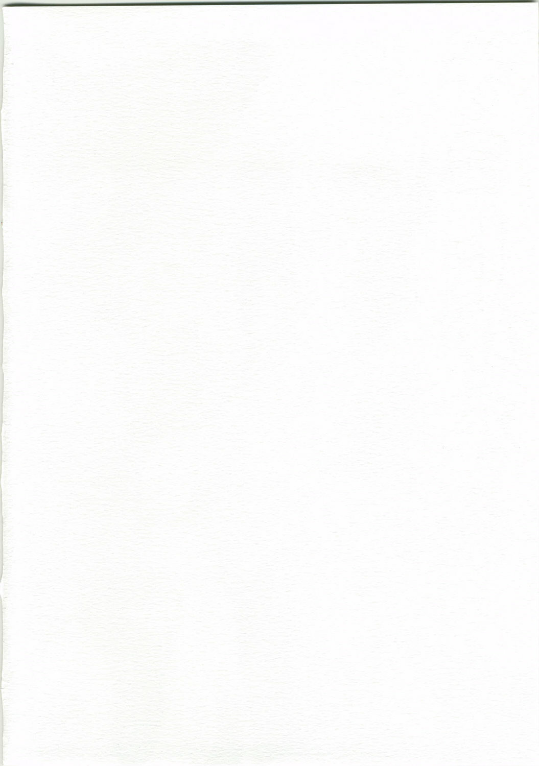 (C73) [Random parts (TAKUTEKS)] NACOTO SHA-HON 6 (Demonbane) page 2 full