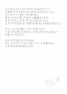(C73) [Shimanto Seiryuu] BREAK OUT - page 3