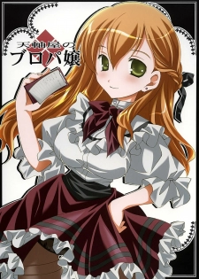 (C68) [Tenjikuya (Mochizuki Nana)] Tenjikuya no Buropajou