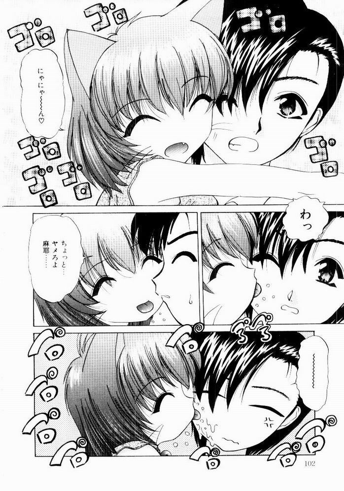 [Hazuki Shishimaru] Tokimeki Hatsujyou Sisters page 104 full