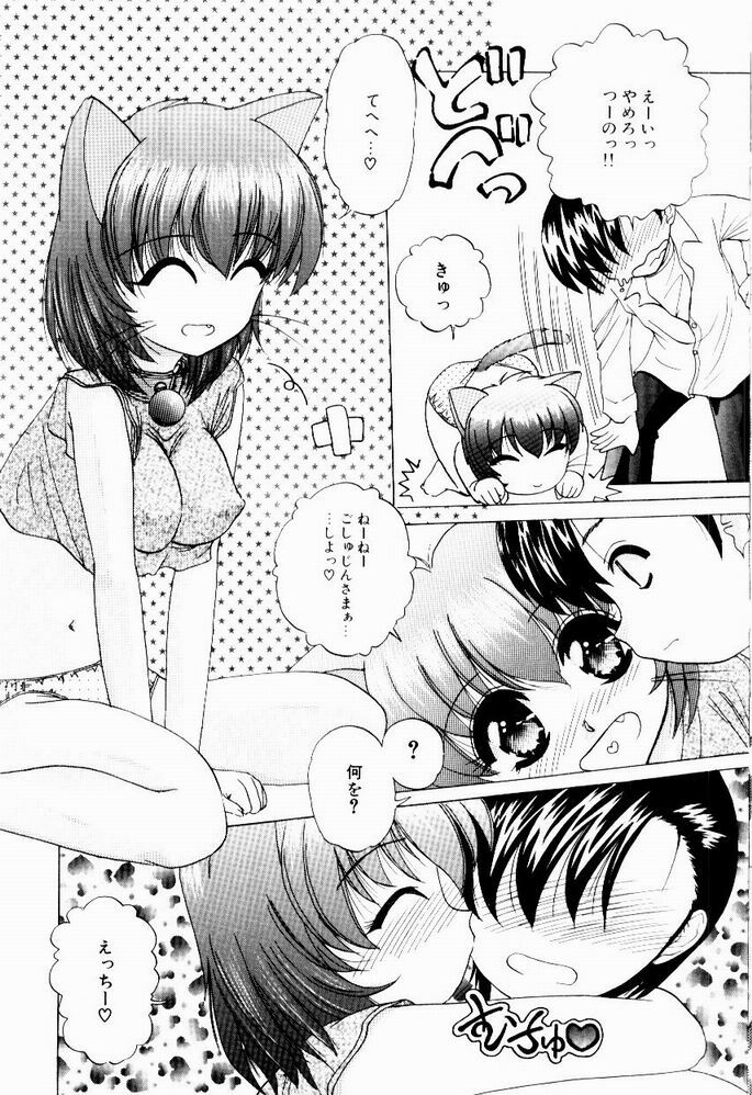 [Hazuki Shishimaru] Tokimeki Hatsujyou Sisters page 105 full