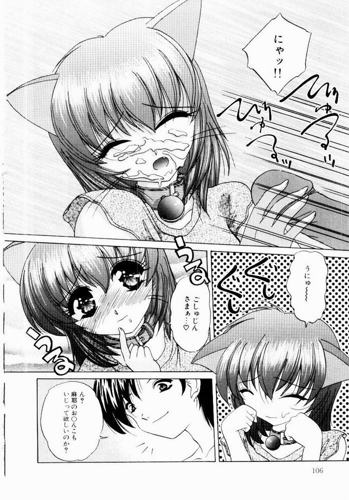 [Hazuki Shishimaru] Tokimeki Hatsujyou Sisters page 108 full