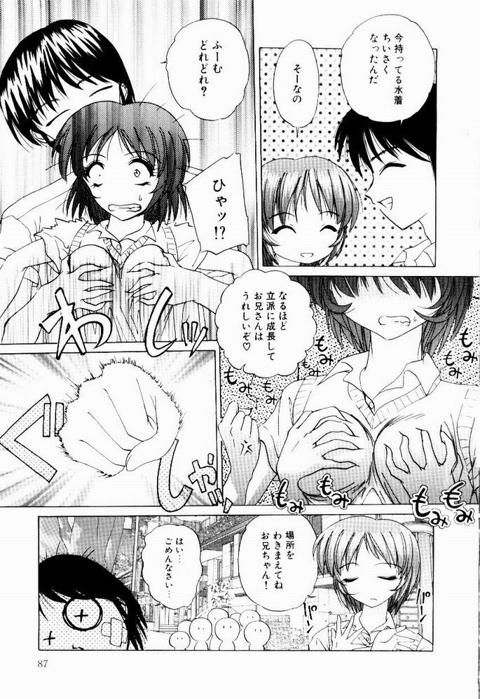 [Hazuki Shishimaru] Tokimeki Hatsujyou Sisters page 89 full