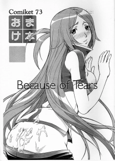 (C73) [OTOGIYA X-9 (Mizuki Haruto)] Because of Tears (Dragonaut)