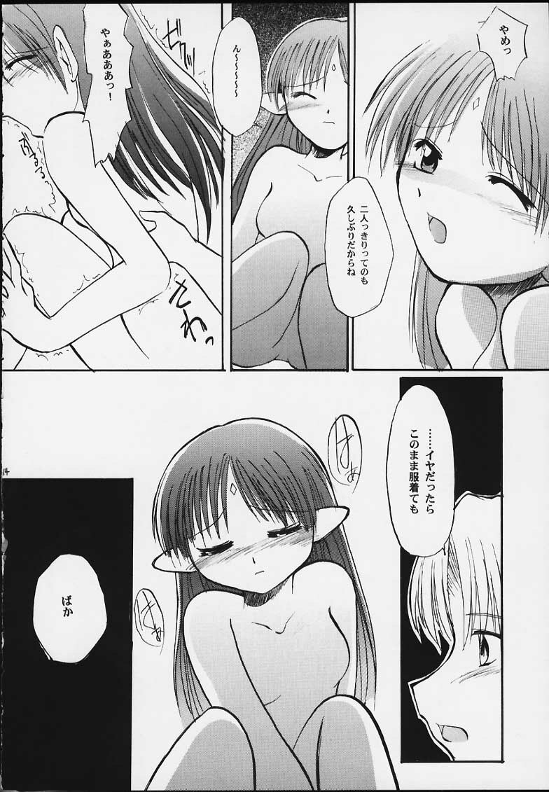 (CR28) [Sueya (Sue)] Lafiel-sama to Yobu ga Yoi!!!!! (Seikai no Senki) page 15 full