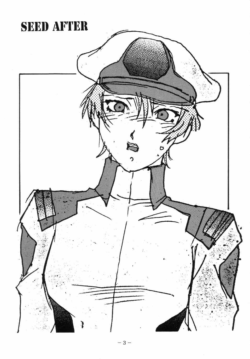 (C66) [Sangatsu no Lion (Don Shigeru)] SEED AFTER (Kidou Senshi Gundam SEED) page 2 full