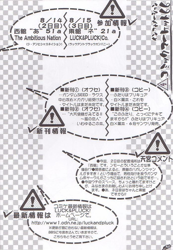 (C66) [LUCK&PLUCK!Co. (Amanomiya Haruka)] Archangel ga Miteru 2 ~Kaze no Koibito~ (Gundam Seed) page 12 full