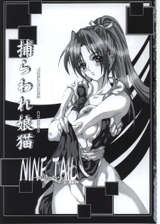 (C62) [NINE TAIL (GRIFON, YaO)] Toraware Koneko (King of Fighters, Dead or Alive)