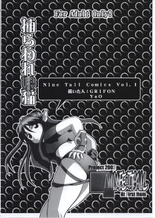 (C62) [NINE TAIL (GRIFON, YaO)] Toraware Koneko (King of Fighters, Dead or Alive) - page 2