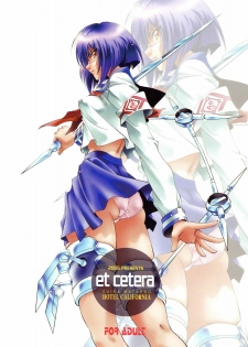 (C71) [Hotel California (Natsuno Suika)] et cetera (Busou Renkin, D.Gray-man) - page 18