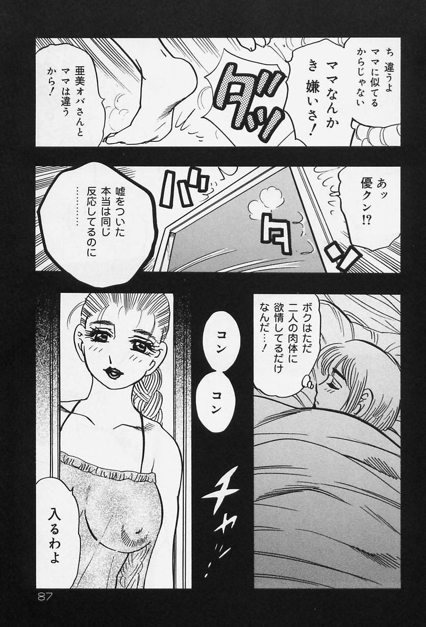 [Bijogi Junction] Shukujo No Seiheki page 89 full