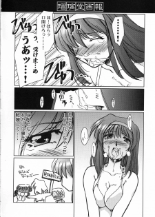 (C63) [UA Daisakusen (Harada Shoutarou)] Ruridou Gahou CODE:19 (Dead or Alive) - page 16