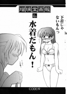 (C63) [UA Daisakusen (Harada Shoutarou)] Ruridou Gahou CODE:19 (Dead or Alive) - page 5