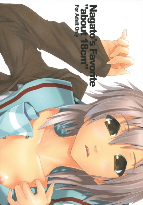 [Nilitsu Haihan (Nilitsu)] Nagato's Favorite ''about 18cm'' (Suzumiya Haruhi no Yuutsu)
