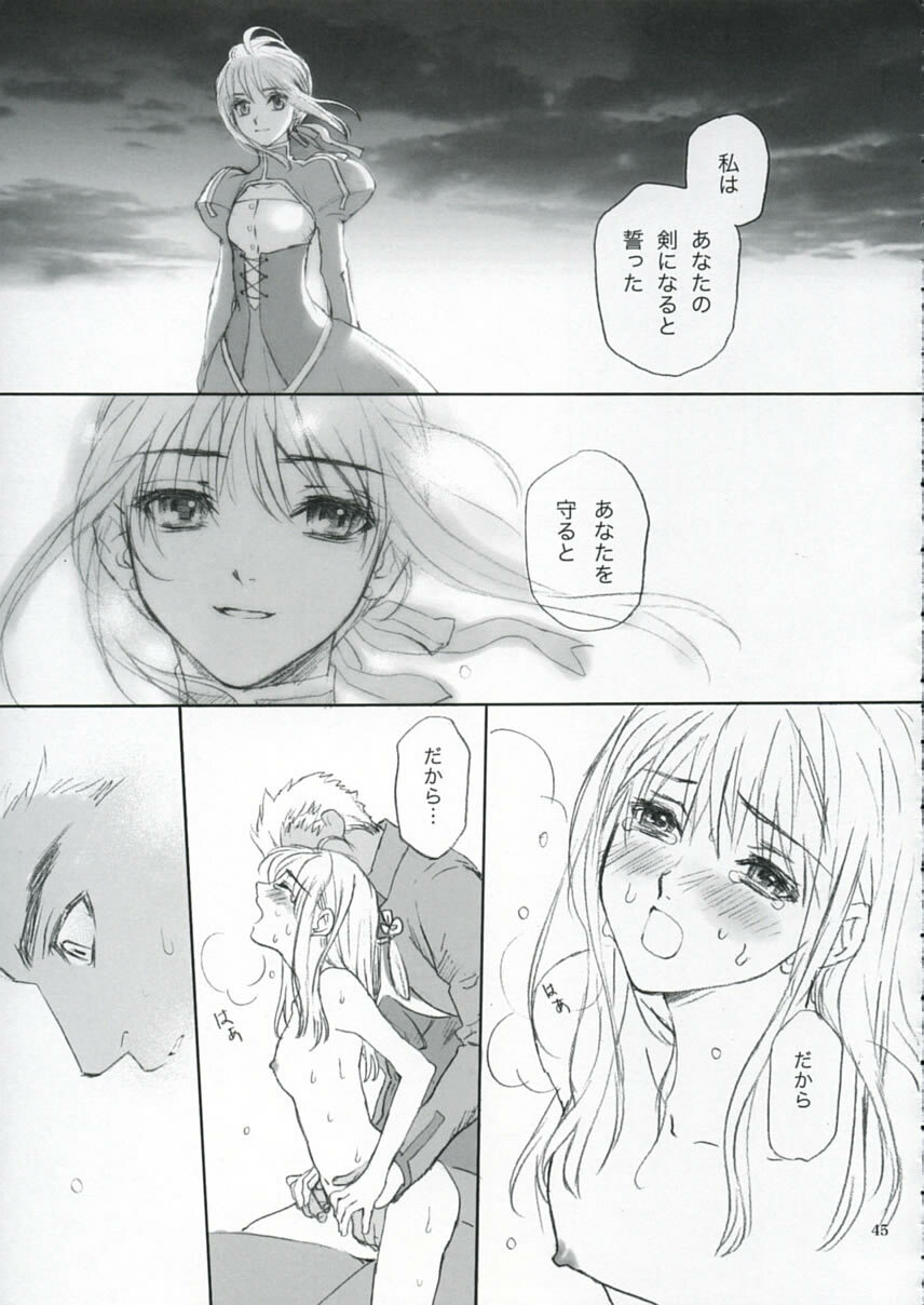 (C66) [Badon (Kida, Kine)] Double Spiral (Fate/stay night) page 44 full