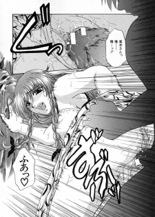 [Naka Shinobu] Kageki na Junjou - page 23