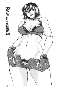(C68) [Sangatsu no Lion (Don Shigeru)] RAW is ROSES (Rumble Roses) - page 3