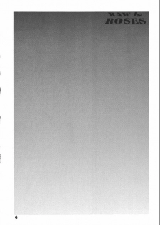 (C68) [Sangatsu no Lion (Don Shigeru)] RAW is ROSES (Rumble Roses) - page 4