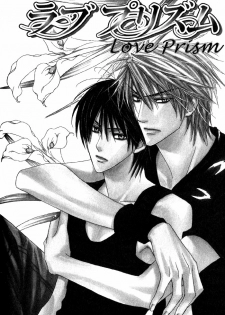 [Tojo Asami] Love Prism [English] [Liquid Passion] - page 49