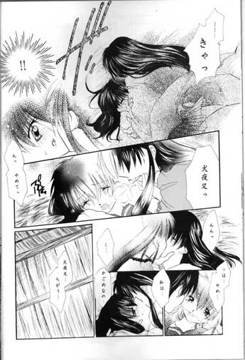 (SC11) [Sakurakan (Seriou Sakura)] Saigo no Sakura no Saku Koro (Inuyasha) page 14 full