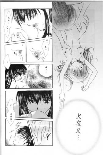 (SC11) [Sakurakan (Seriou Sakura)] Saigo no Sakura no Saku Koro (Inuyasha) page 24 full