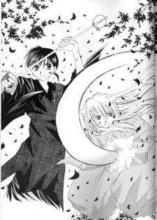(SC11) [Sakurakan (Seriou Sakura)] Saigo no Sakura no Saku Koro (Inuyasha) - page 43