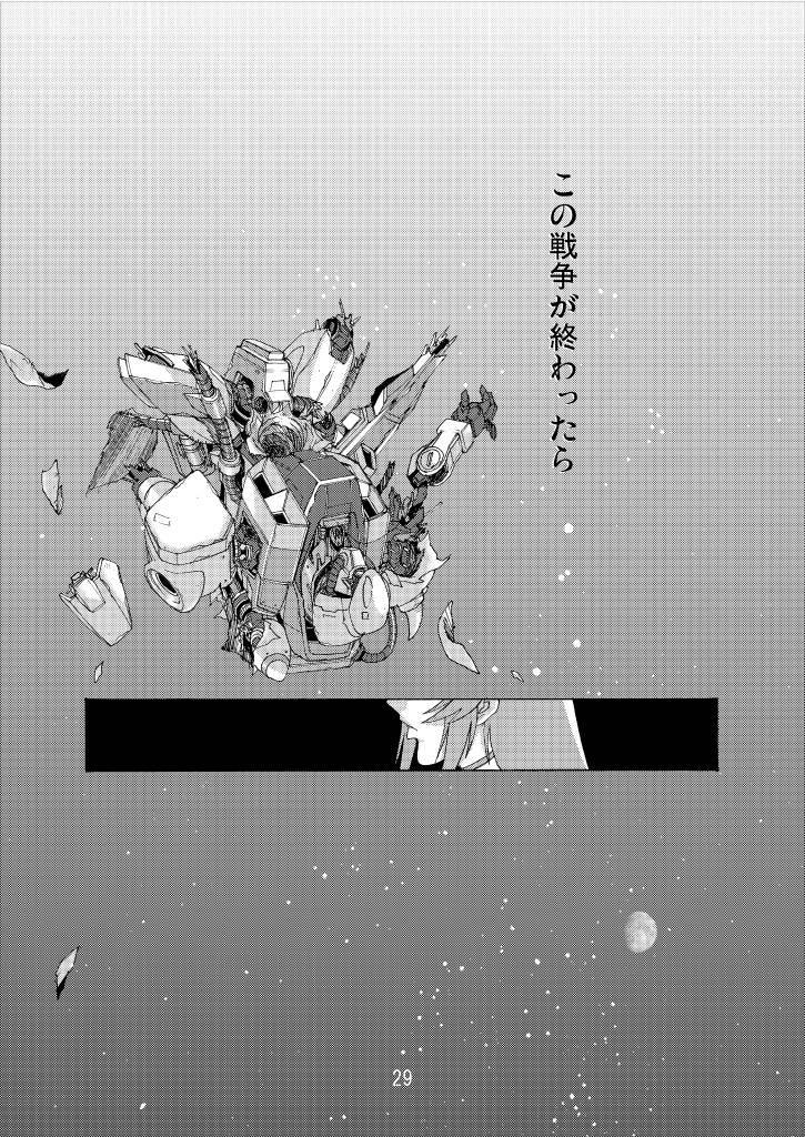 (C70) [Oregun (Shibari Kana)] MEER ALIVE (Kidou Senshi Gundam SEED DESTINY [Mobile Suit Gundam SEED DESTINY]) page 28 full