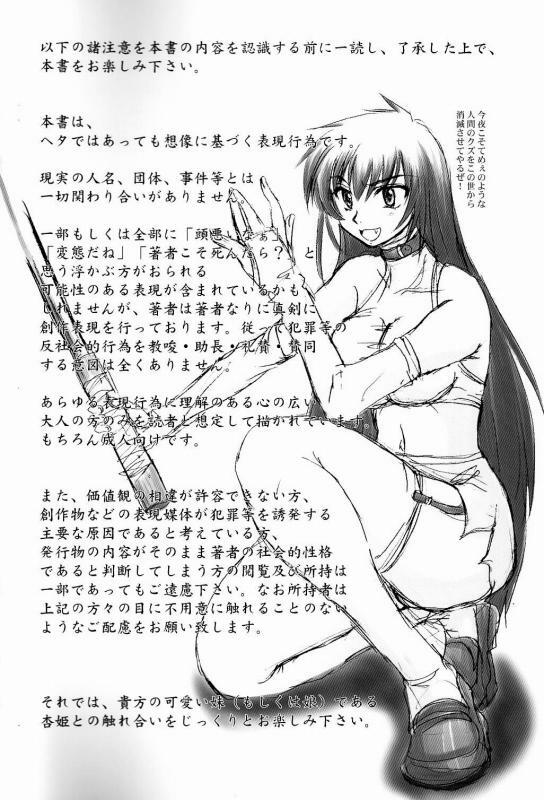 (C68) [Nozarashi (Nozarashi Satoru)] Tatakae! Kyouhime-sama!! page 2 full
