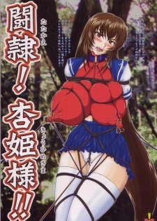 (C68) [Nozarashi (Nozarashi Satoru)] Tatakae! Kyouhime-sama!!