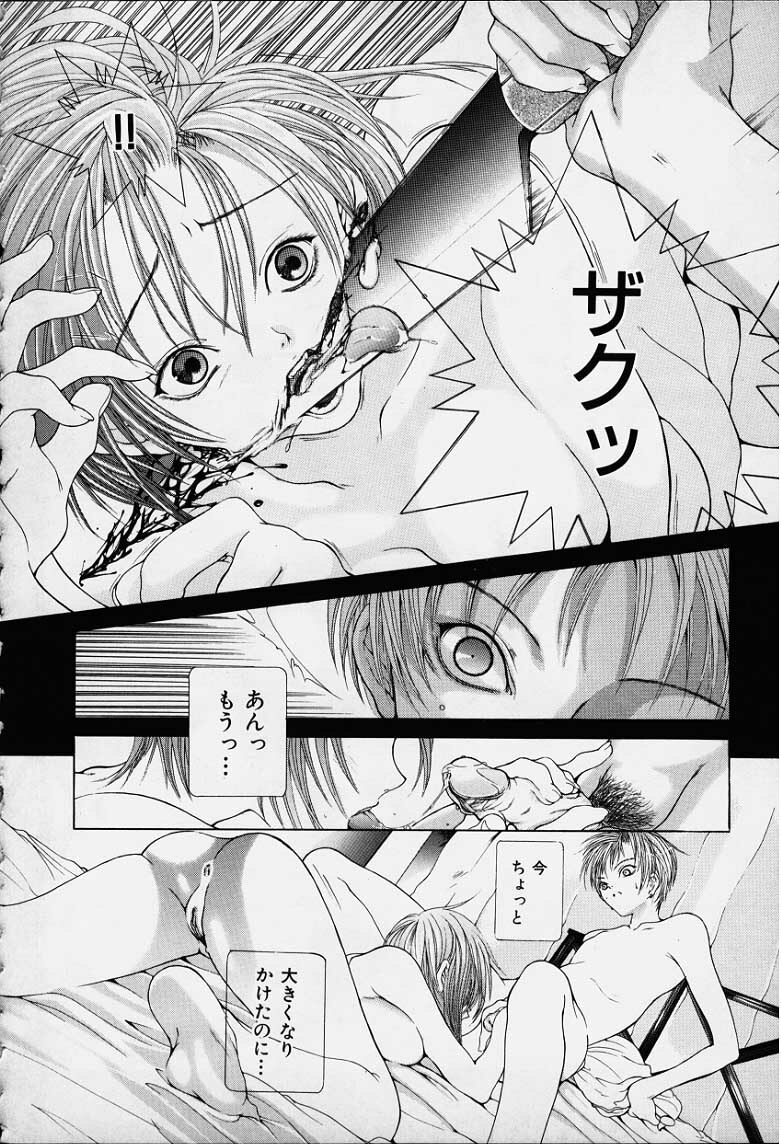 [Karino Hasumi] DX page 167 full