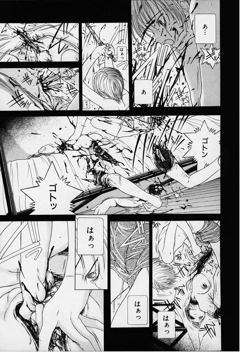 [Karino Hasumi] DX page 176 full