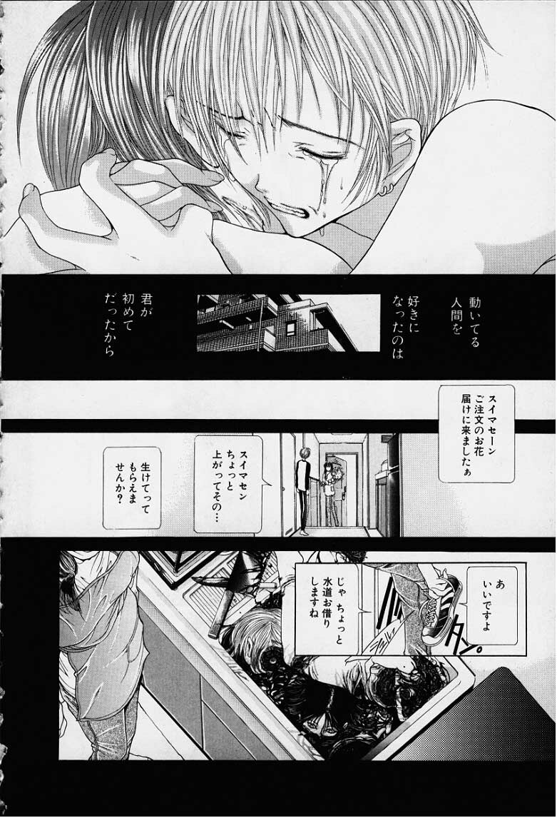 [Karino Hasumi] DX page 179 full
