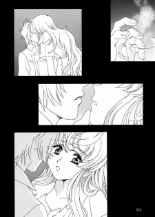 (C65)[Gensyokukan (Hakumai Gen) & Henrei-kai (Kawarajima Koh)] Gensyokukan Hatsu Hakumai Shido 2 RICE-SEED 2 (Kidou Senshi Gundam SEED) - page 21