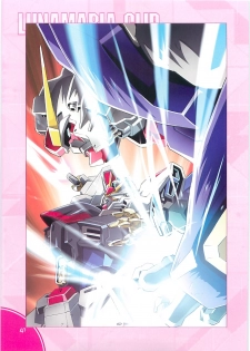 (C70)[Hen Rei Kai (Kawarajima Kou)] SEED ANOTHER CENTURY D.E. 2 (Gundam SEED Destiny) - page 40