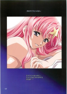 (C70)[Hen Rei Kai (Kawarajima Kou)] SEED ANOTHER CENTURY D.E. 2 (Gundam SEED Destiny) - page 6