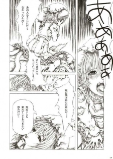 (Reitaisai 2) [FelisOvum (Katzeh)] Sankai Ryuuten (Touhou Project) - page 13
