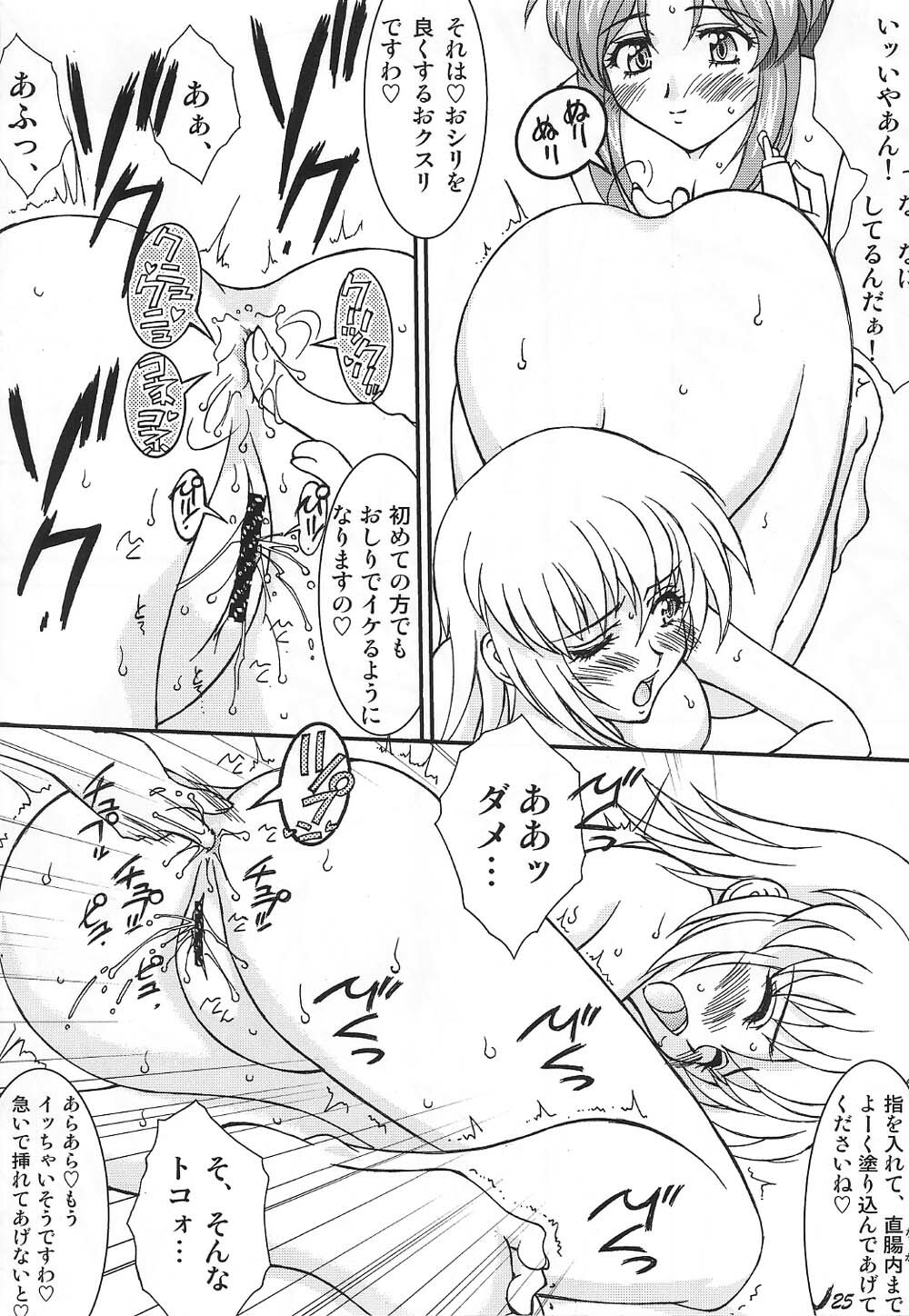 (C67) [LUCK&PLUCK!Co. (Amanomiya Haruka)] Conversation Clinic (Gundam SEED) page 25 full