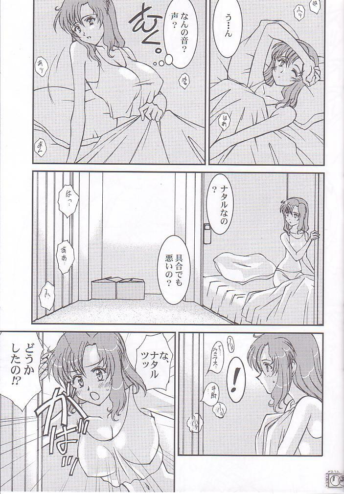 (C65) [LUCK&PLUCK!Co. (Ananomiya Haruka)] Archangel ga Miteru. (Gundam SEED) page 13 full