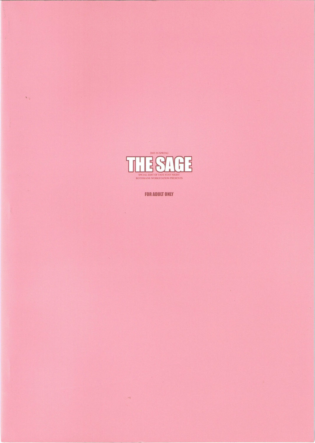 (CR37) [R-WORKS (ROS)] THE SAGE (Fate/stay night) page 30 full