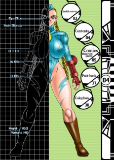 (C60) [Shiroganeya (Ginseiou)] Kilometer 10 All Color SPECIAL (Street Fighter) [English] - page 4