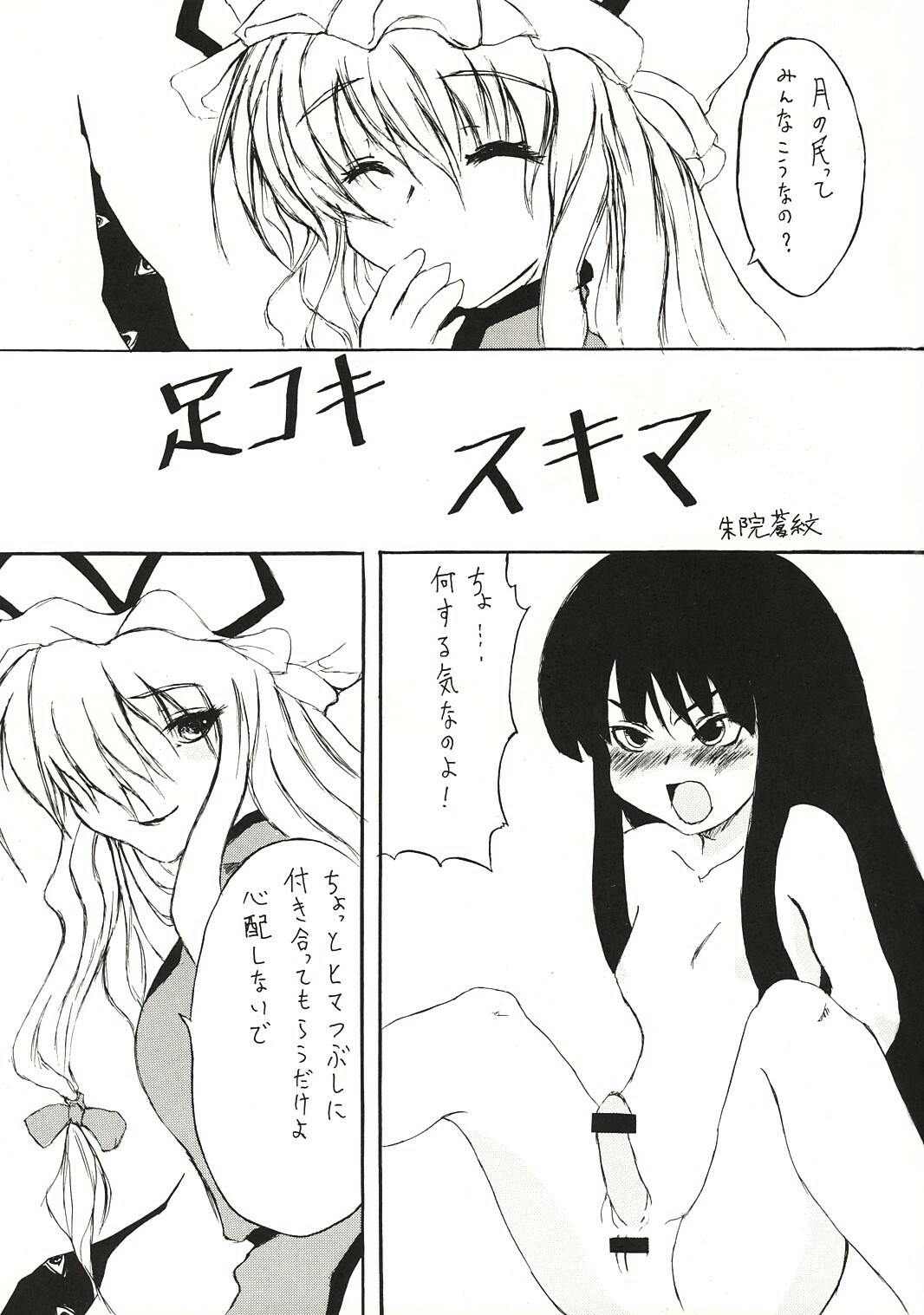 (C68) [Gebriel's Hounds (Akenoin Soumon)] Ashikoki Sukima (Touhou Project) page 2 full