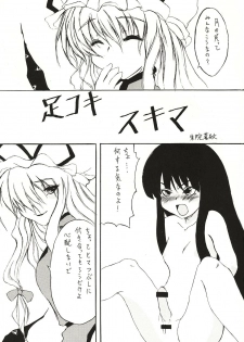 (C68) [Gebriel's Hounds (Akenoin Soumon)] Ashikoki Sukima (Touhou Project) - page 2