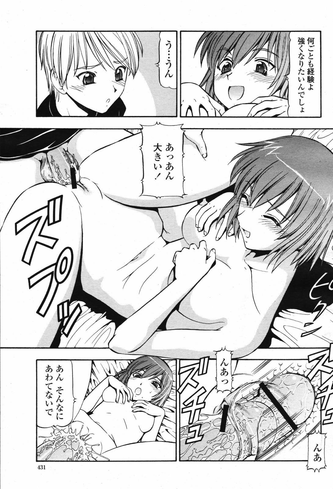 COMIC Momohime 2007-02 page 433 full
