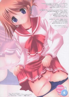 [PASTEL WING (Kisaragi-MIC)] COSTUME PARFAIT (ToHeart 2) - page 3