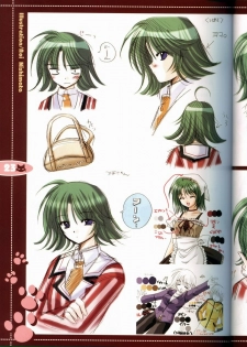 (C63) [JOKER TYPE (Nishimata Aoi)] rebirth (Sore wa Maichiru Sakura no Youni) - page 21